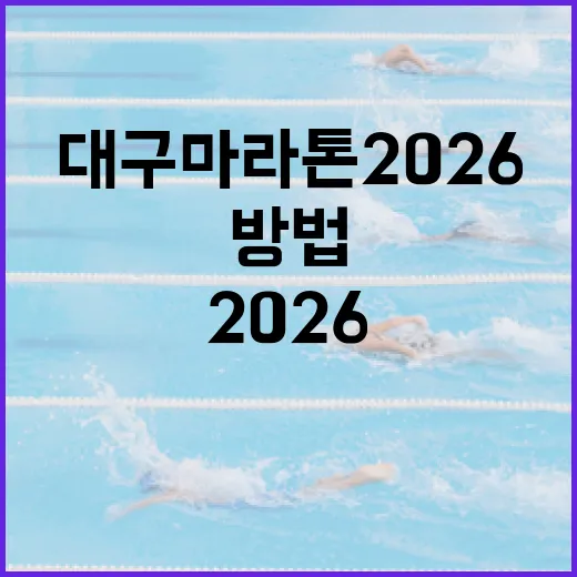 대구마라톤 2026 준비하는 방법 - 요약