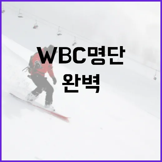 WBC 명단을 완벽하게 이해하는 방법 - 요약