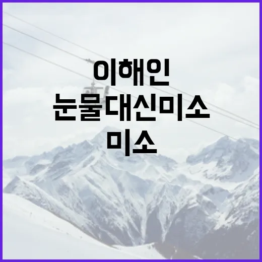 이해인의 글에서 눈물 대신 미소를 찾는 방법 - 요약