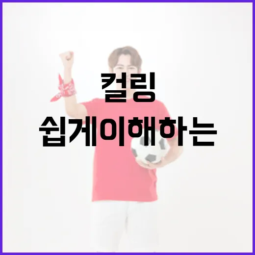 컬링 룰을 쉽게 이해하는 방법 - 요약