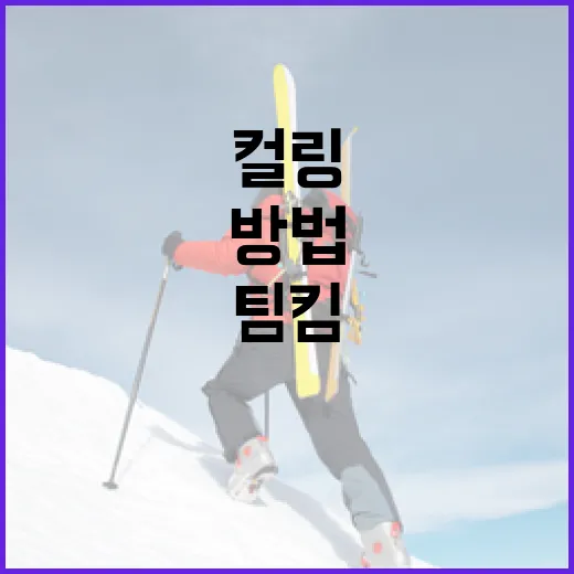 컬링 팀킴에 대해 알아보는 방법 - 요약