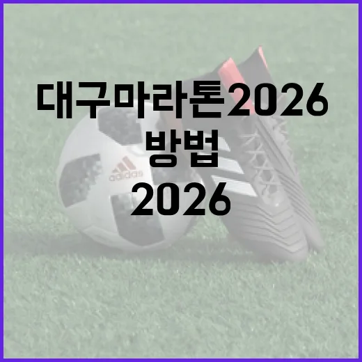 대구마라톤 2026 준비하는 방법 - 요약