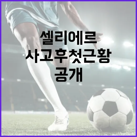 셀리에르의 사고 후 첫 근황을 공개하는 방법 - 요약