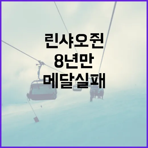 린샤오쥔의 8년 만의 메달 실패 원인 분석과 교훈 얻는 방법 - 요약