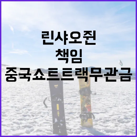 린샤오쥔의 책임을 이해하고 중국 쇼트트랙 무관금 사태를 해결하는 방법 - 요약