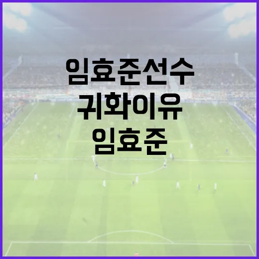 임효준 선수의 귀화 이유와 과정 알아보기 - 요약