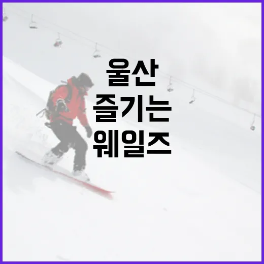 울산 웨일즈를 제대로 즐기는 방법 - 요약