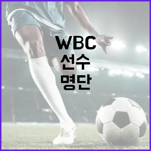 WBC 명단을 알아보는 방법: 팀 별 주요 선수와 전략 분석 - 요약