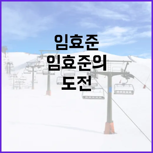 임효준의 성공 비결: 도전과 열정의 이야기 - 요약