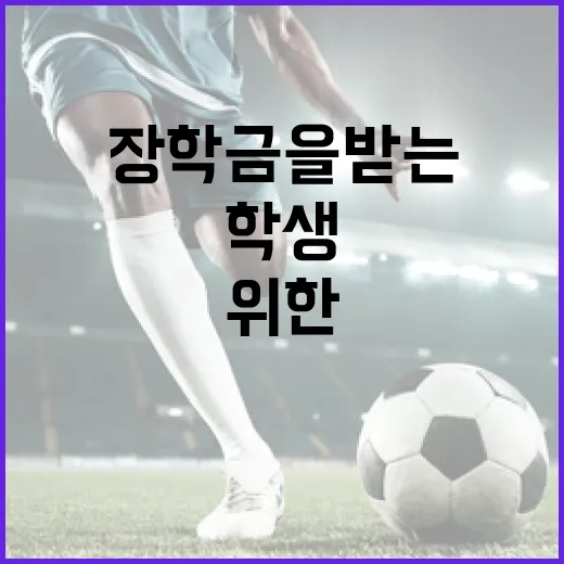 장학금을 받는 방법: 학생을 위한 실용 가이드 - 요약