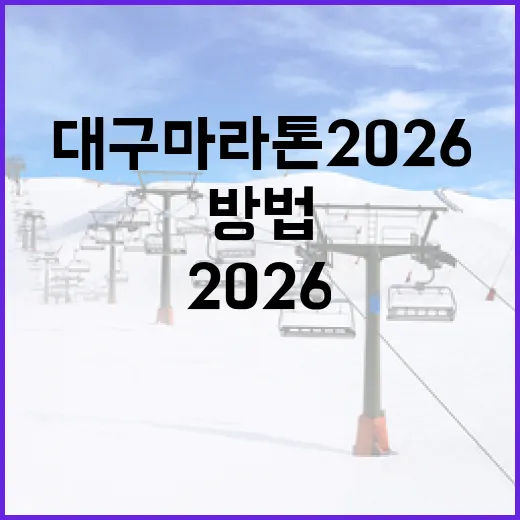 대구마라톤 2026 준비하는 방법 - 요약