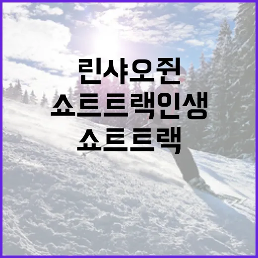 린샤오쥔의 쇼트트랙 인생을 통해 배우는 성공의 비결 - 요약