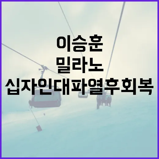 이승훈의 밀라노 십자인대 파열 후 회복을 위한 단계별 가이드 - 요약