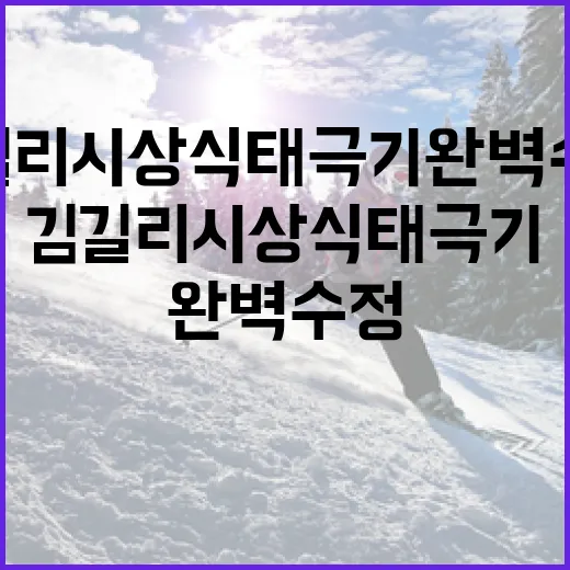 김길리 시상식 태극기 완벽 수정하는 방법 - 요약