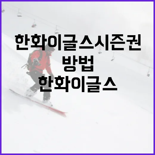 한화이글스 시즌권을 최대한 활용하는 방법 - 요약