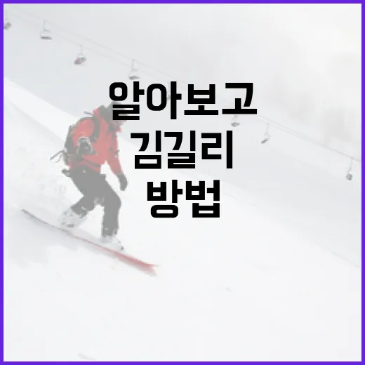 김길리에 대해 알아보고 활용하는 방법 - 요약