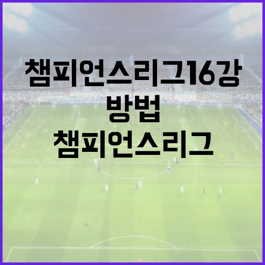 챔피언스리그 16강을 즐기는 방법 - 요약