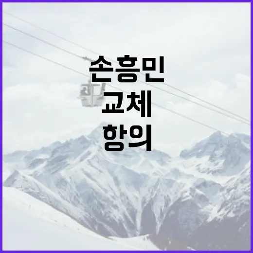 손흥민이 교체에 항의한 이유를 이해하는 방법 - 요약