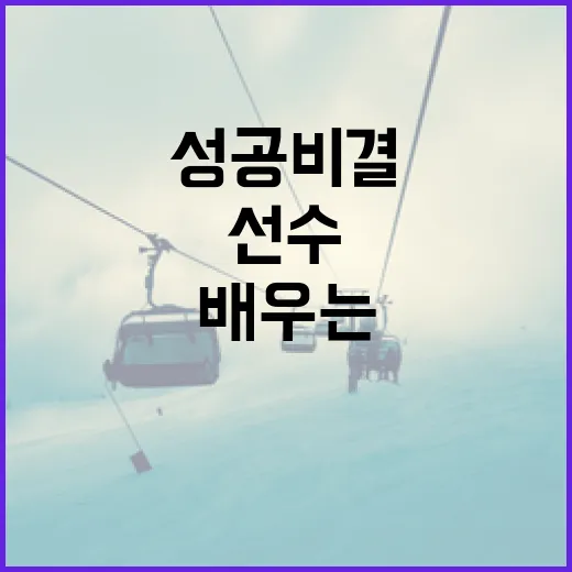 심석희 선수의 성공 비결을 배우는 방법 - 요약