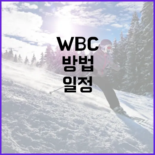 WBC 일정을 쉽게 확인하는 방법 - 요약