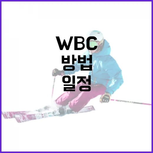 WBC 일정 쉽게 확인하는 방법 - 요약