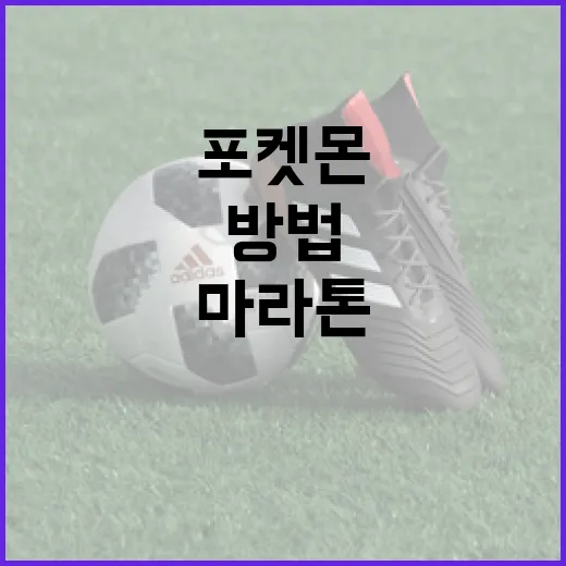 포켓몬 마라톤을 성공적으로 완주하는 방법 - 요약