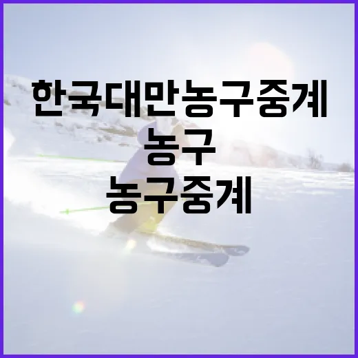한국 대만 농구 중계를 쉽게 시청하는 방법 - 요약