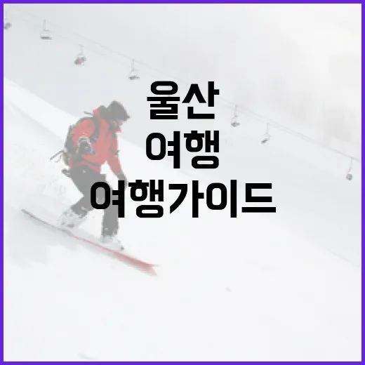 울산 웨일즈를 탐험하는 방법: 필수 여행 가이드 - 요약