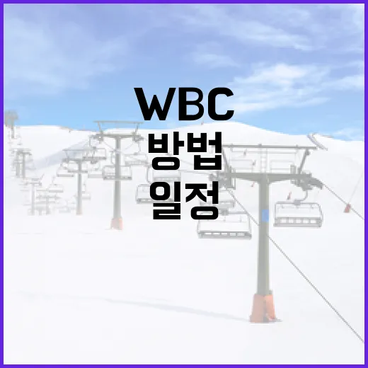 WBC 일정을 효과적으로 확인하는 방법 - 요약