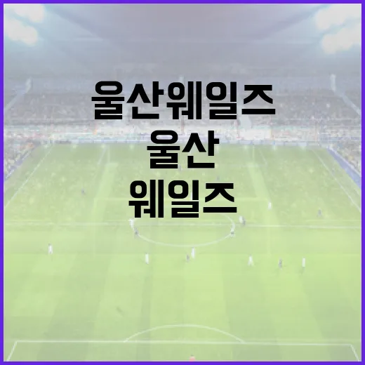 울산 웨일즈에서 즐길 수 있는 최고의 활동 방법 - 요약