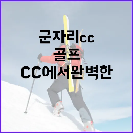 군자리CC에서 완벽한 골프 라운딩을 즐기는 방법 - 요약