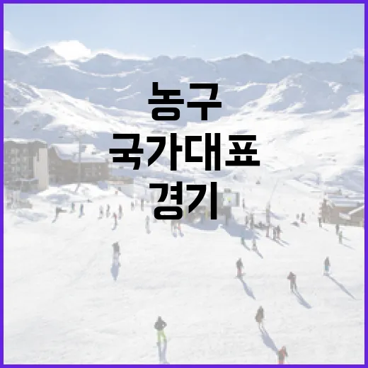 국가대표 농구 경기 일정을 효과적으로 확인하는 방법 - 요약