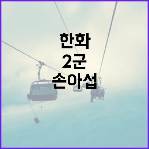 타나차를 효과적으로 사용하는 방법 - 요약