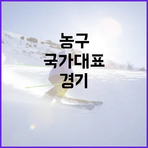 국가대표 농구 경기 일정을 쉽게 확인하는 방법 - 요약