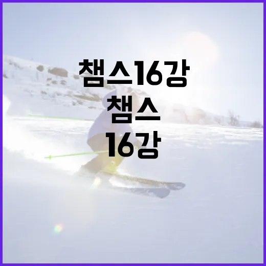 챔스 16강을 준비하는 방법 - 요약