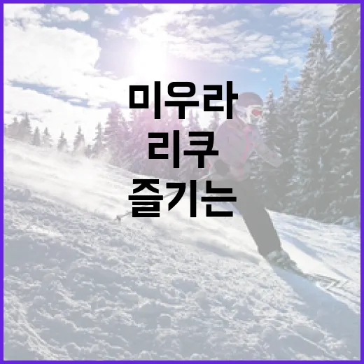 미우라리쿠를 이해하고 즐기는 방법 - 요약