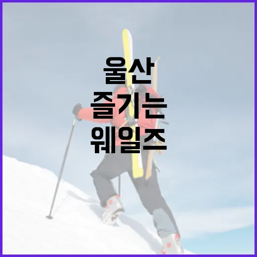 울산 웨일즈를 제대로 즐기는 방법 - 요약