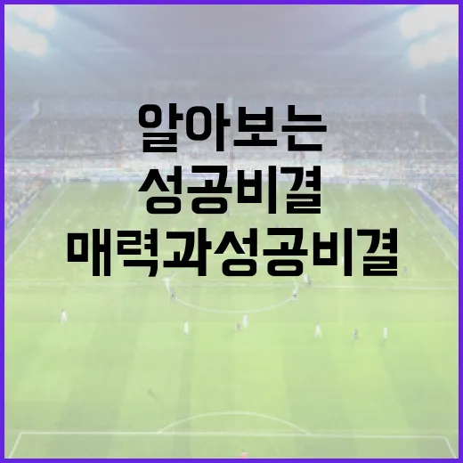 이유빈을 알아보는 방법: 그의 매력과 성공 비결 - 요약