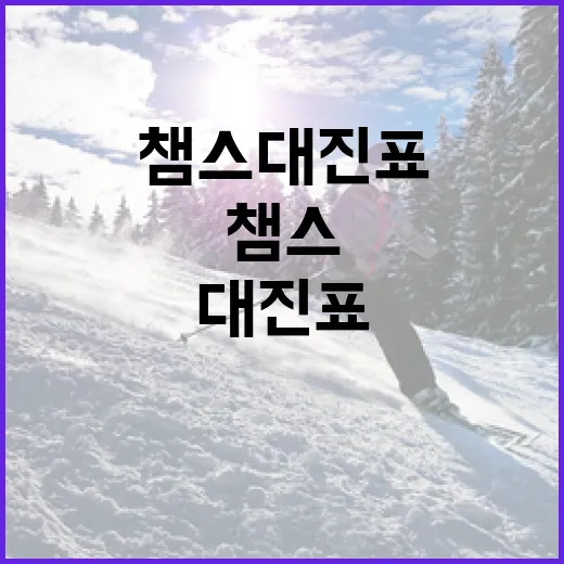 챔스 대진표를 쉽게 이해하는 방법 - 요약