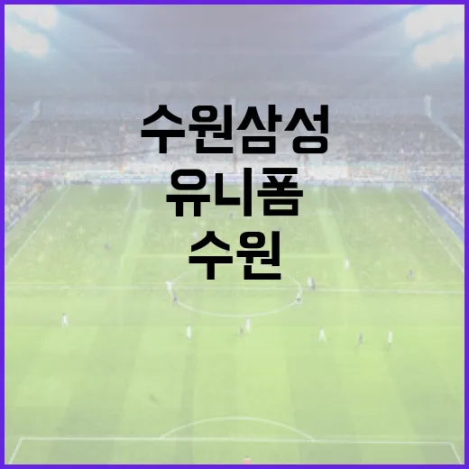 수원삼성 유니폼을 제대로 이해하는 방법 - 요약