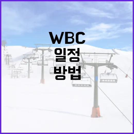WBC 일정을 완벽하게 파악하는 방법 - 요약