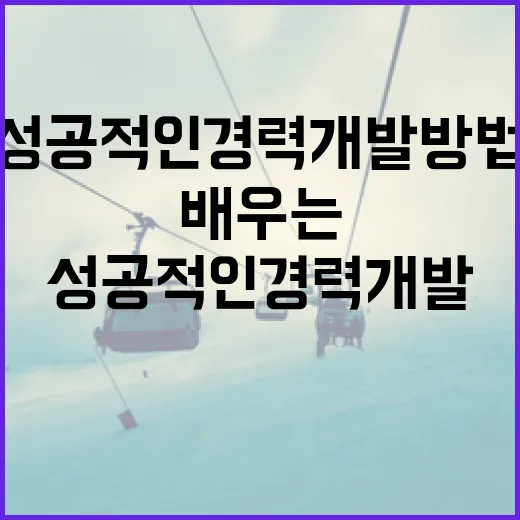 김상겸과 박한솔을 통해 배우는 성공적인 경력 개발 방법 - 요약