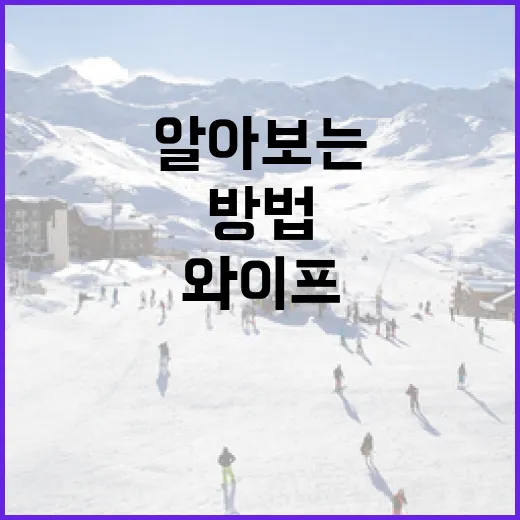 김상겸 와이프에 대해 알아보는 방법 - 요약