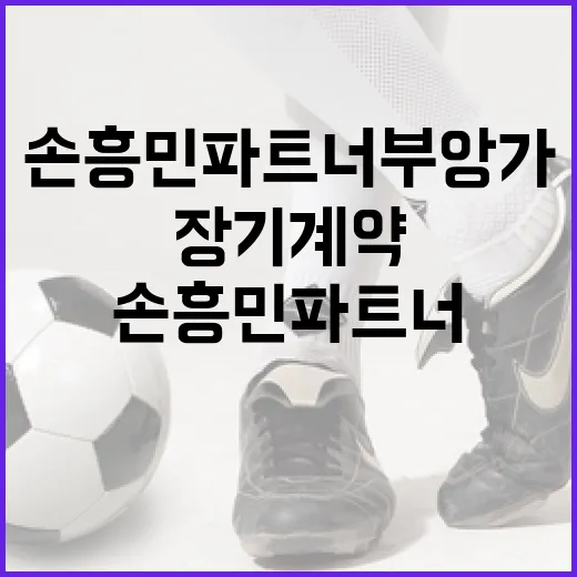 손흥민 파트너 부앙가와 장기계약 체결하는 방법 - 요약