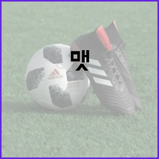 맷 매닝의 성공적인 경력을 쌓는 방법 - 요약