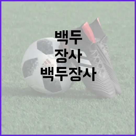 백두장사에 대해 알아보는 방법 - 요약