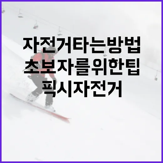 픽시자전거 타는 방법과 초보자를 위한 팁 - 요약