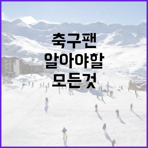 손흥민에 대해 알아야 할 모든 것: 축구 팬을 위한 가이드 - 요약