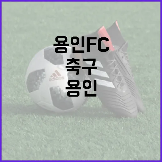 용인FC를 즐기는 방법: 축구 팬을 위한 가이드 - 요약