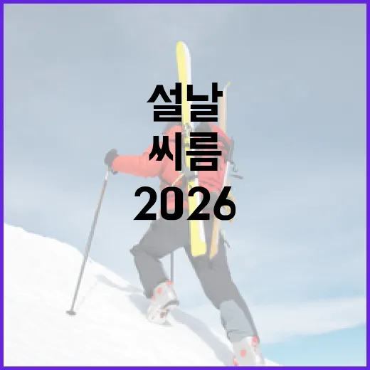 2026 설날에 씨름을 즐기는 방법 - 요약